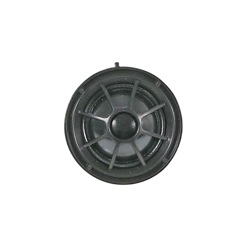 GZCS 100.2BMW Tweeter